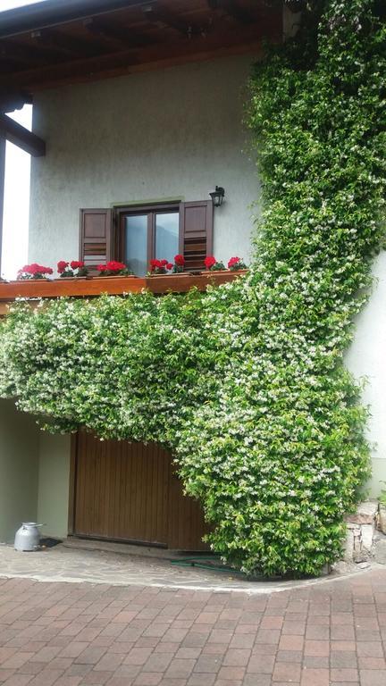 La Casa Del Gelsomino Apartamento Ospedaletto  Exterior foto